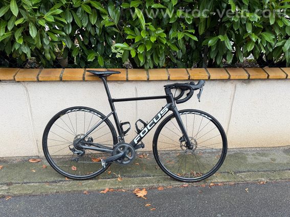 FOCUS IZALCO MAX