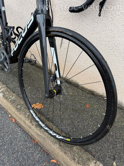 FOCUS IZALCO MAX - 3