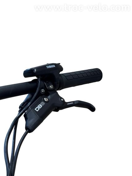 Raymon FullRay 150E 9.0 29 pouces VTT électrique Sram SX 2024 - 5