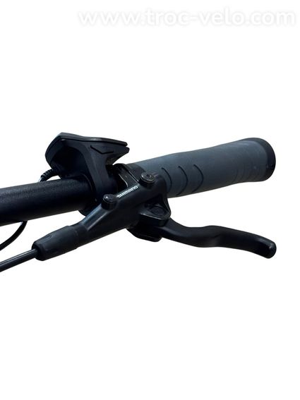 Victoria eAdventure 11.9 Vélo électrique Shimano Nexus 2022 - 6