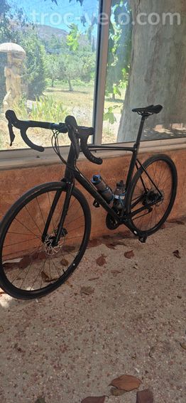 Giant contend sl
