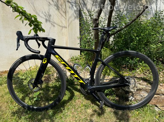 Scott Addict RC Pro – XS / 49 – Dura-Ace mécanique – Roues carbone – Prêt course - 2