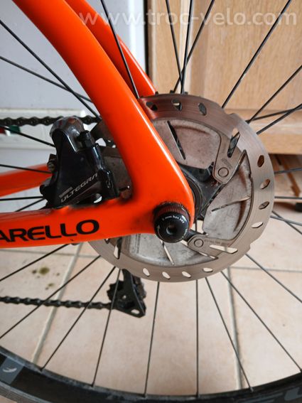 Velo course Pinarello - 8