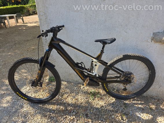 VTTAE Orbea Wild M10