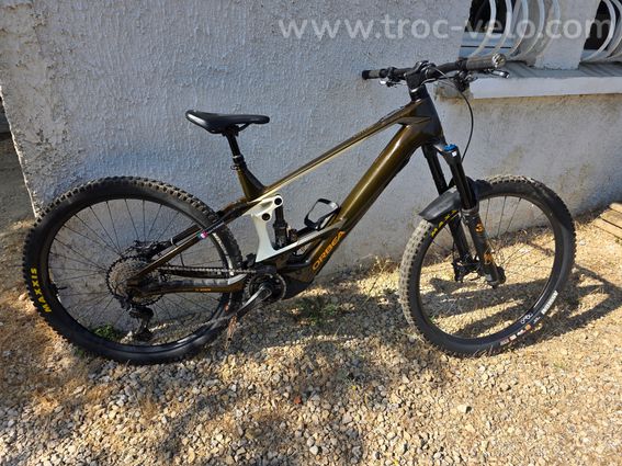 VTTAE Orbea Wild M10 - 2