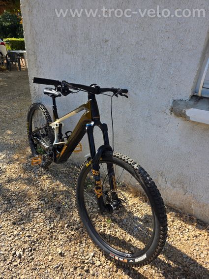 VTTAE Orbea Wild M10 - 3