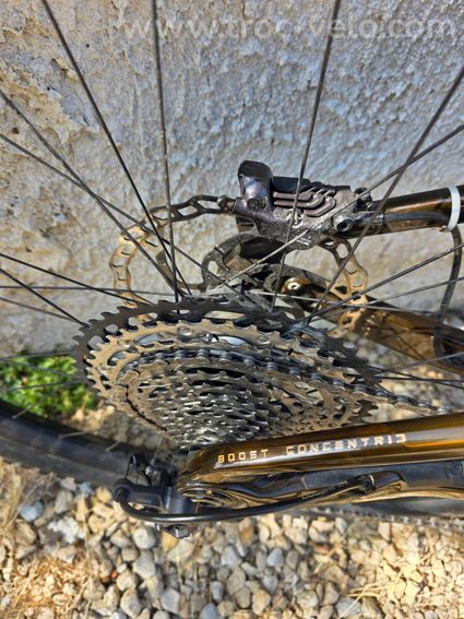 VTTAE Orbea Wild M10 - 5