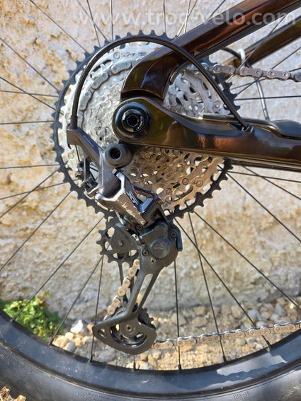 VTTAE Orbea Wild M10 - 6