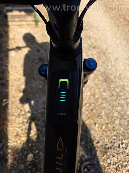 VTTAE Orbea Wild M10 - 9
