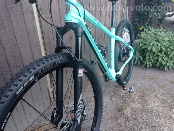 VTT bianchi methanol SX 29pouces - 4