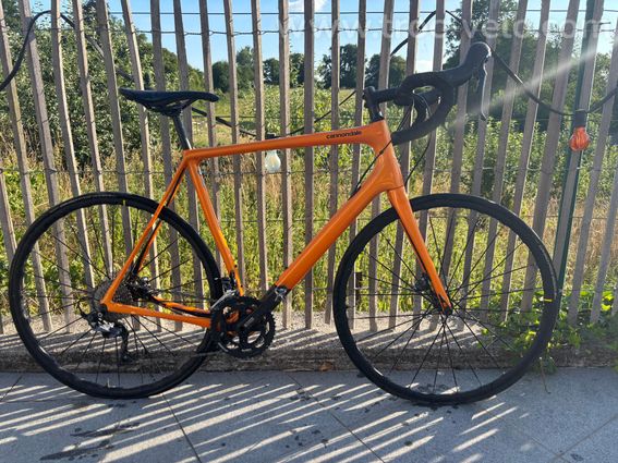 Cannondale synapse endurance  - 2