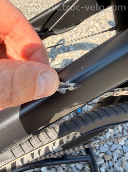 YT industries Capra Core 4 - 10