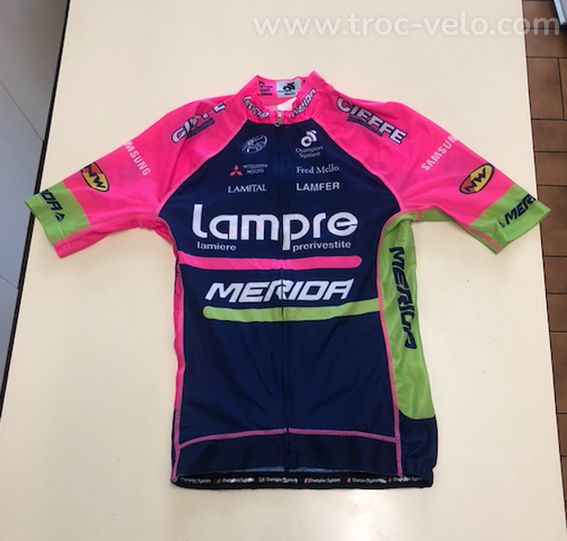 maillot Champion System team Lampre Merida