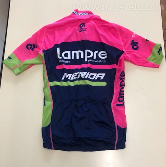 maillot Champion System team Lampre Merida - 2