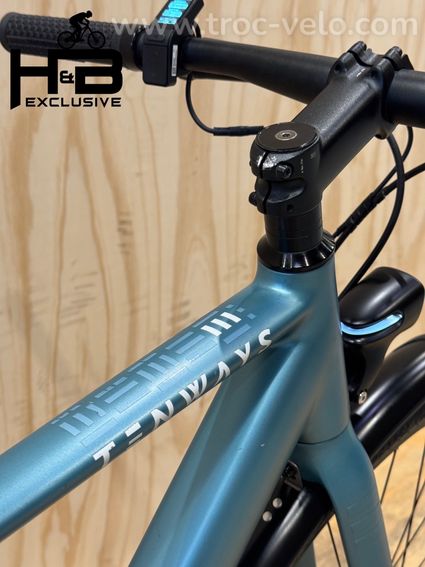 Tenways CGO600 Vélo électrique Single-Speed 2022 - 9