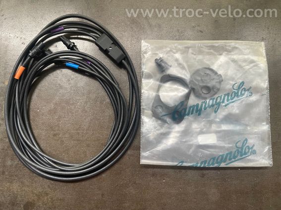 Faisceau Campagnolo eps 12v pour cadre