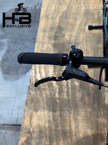 Tenways CGO600 PRO Vélo électrique Single-Speed 2023 - 5