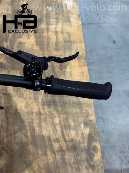 Tenways CGO600 PRO Vélo électrique Single-Speed 2023 - 8
