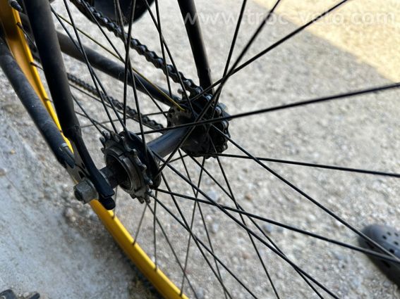 fixie Pure Fix India - 3