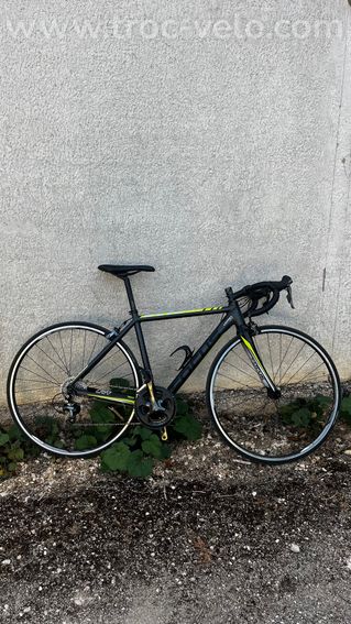 Focus cayo taille xs ( 48 )