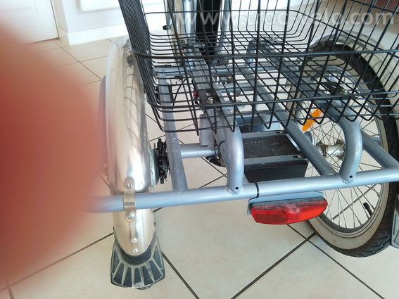 tricycle pendulaire - 2