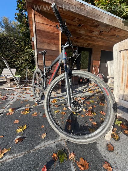 Specialized Men's Epic comp 2019 taille L  - 2
