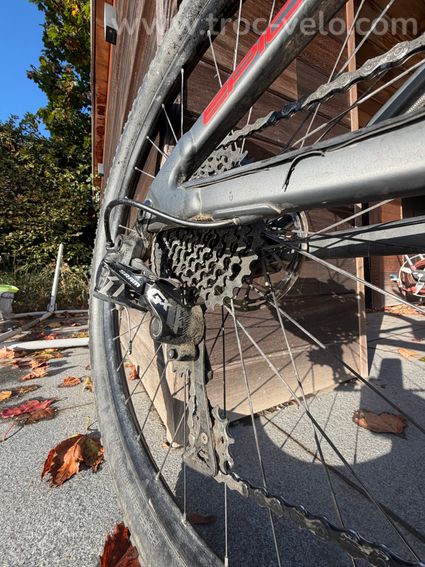 Specialized Men's Epic comp 2019 taille L  - 4