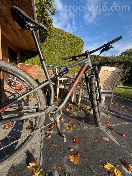 Specialized Men's Epic comp 2019 taille L  - 5