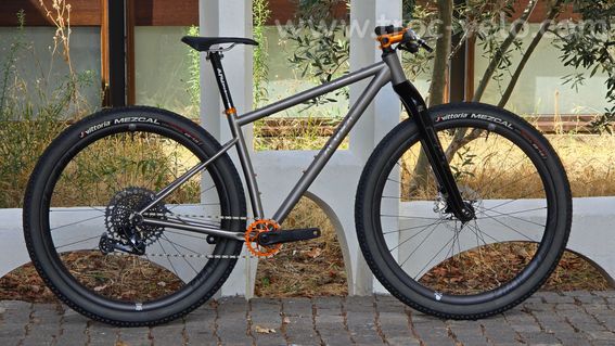VTT Titane ALPHA Raptor SL 29" (Neuf) – SRAM GX Eagle – Freins Cura X – 8,80 kg - 2