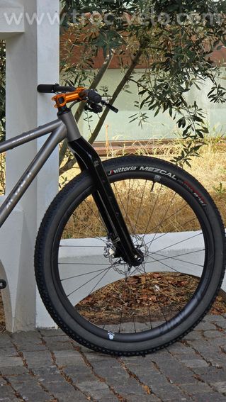 VTT Titane ALPHA Raptor SL 29" (Neuf) – SRAM GX Eagle – Freins Cura X – 8,80 kg - 10