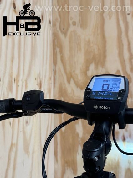 Flyer Gotour 6 7.10 Vélo électrique Shimano Deore 2020 - 7