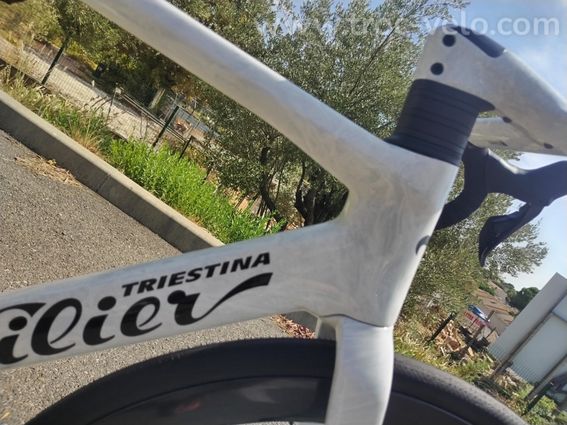 Wilier filante  - 11