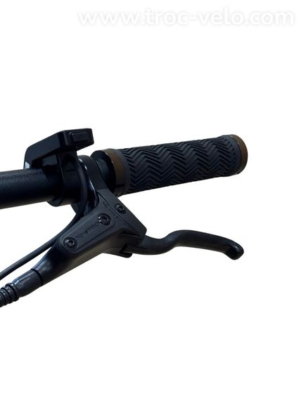 Tenways CGO600 Vélo électrique Single-Speed 2023 - 6
