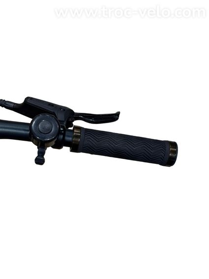 Tenways CGO600 Vélo électrique Single-Speed 2023 - 8
