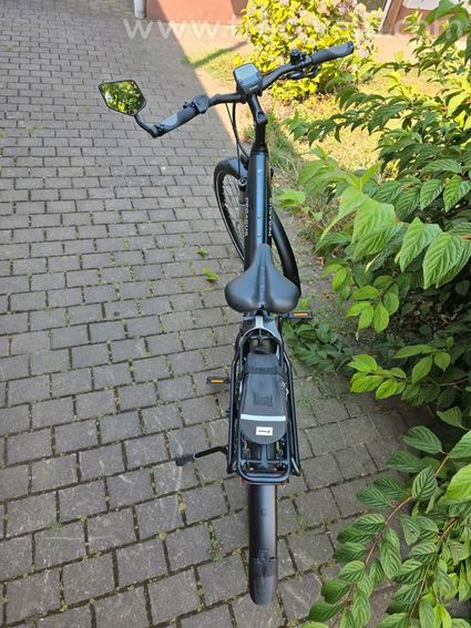 Pegasus Premio Evo 10 lite - 2
