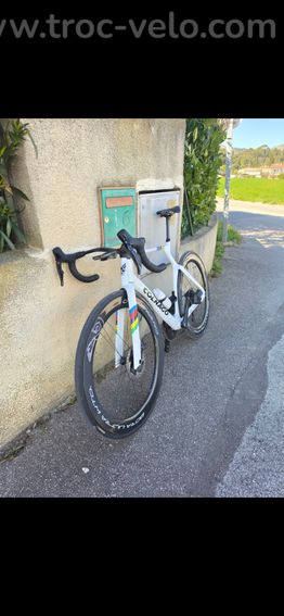 Colnago y1rs - 2