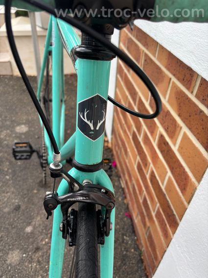 Singlespeed/ Fixie Insolent Savage Mint - 2