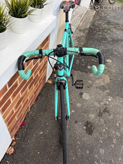 Singlespeed/ Fixie Insolent Savage Mint - 5