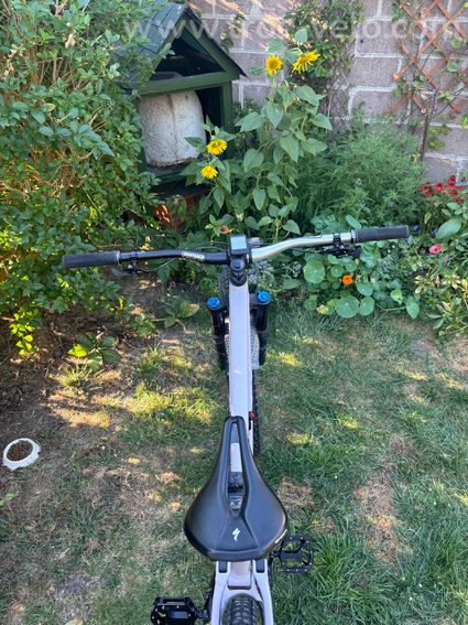 specialized status S3 140 mm (2020)  - 10
