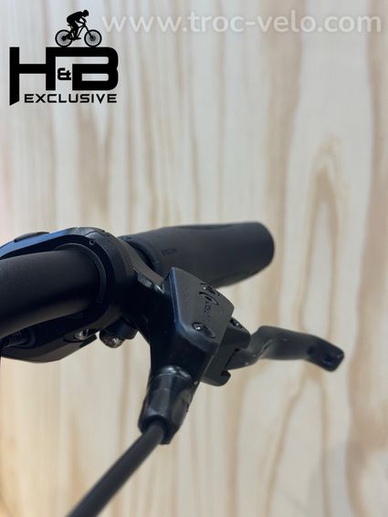Kettler Quadriga T&C Pro Belt Vélo électrique Shimano Nexus 2022 - 6