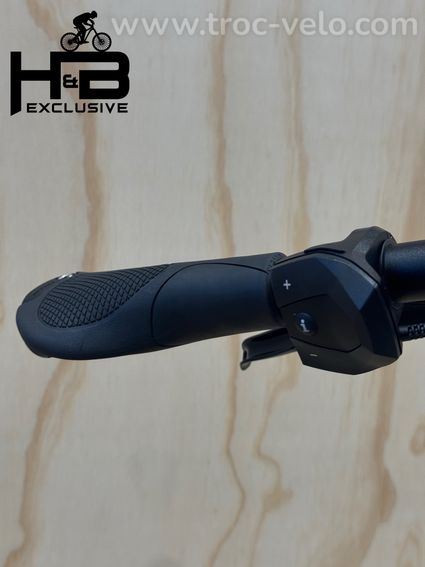 Kettler Quadriga T&C Pro Belt Vélo électrique Shimano Nexus 2022 - 7