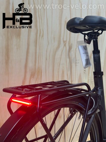 Kettler Quadriga T&C Pro Belt Vélo électrique Shimano Nexus 2022 - 10