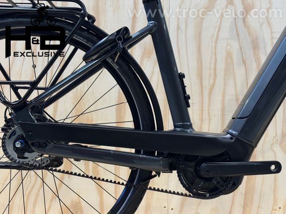Kettler Quadriga T&C Pro Belt Vélo électrique Shimano Nexus 2022 - 12