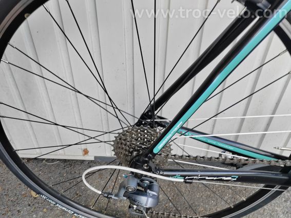 Bianchi Via Nirone 7 - 2