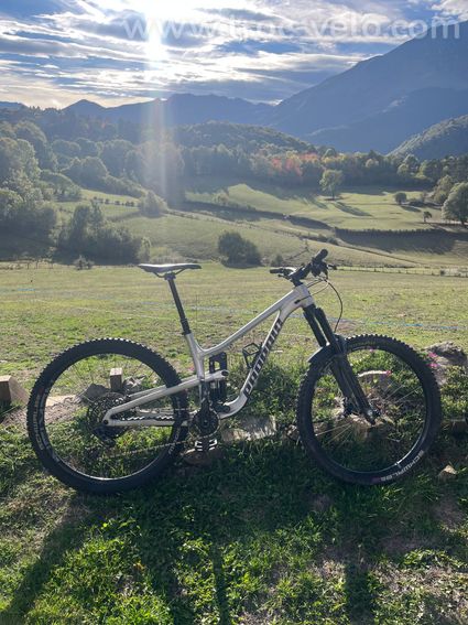 VTT propain tyee 6.1