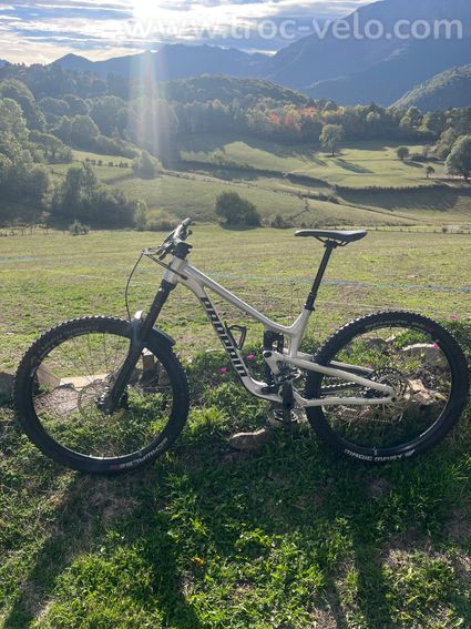 VTT propain tyee 6.1 - 4