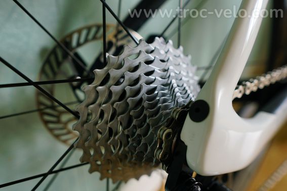 Velo route carbone Bianchi Oltre 53 - 4
