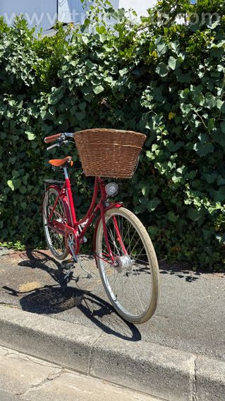 Pashley Britannia – Vélo anglais haut de gamme artisanal, Brooks, Sturmey Archer - 3