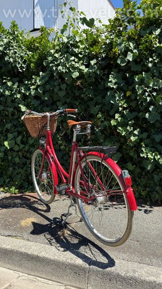 Pashley Britannia – Vélo anglais haut de gamme artisanal, Brooks, Sturmey Archer - 4