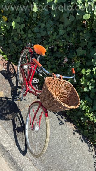 Pashley Britannia – Vélo anglais haut de gamme artisanal, Brooks, Sturmey Archer - 5